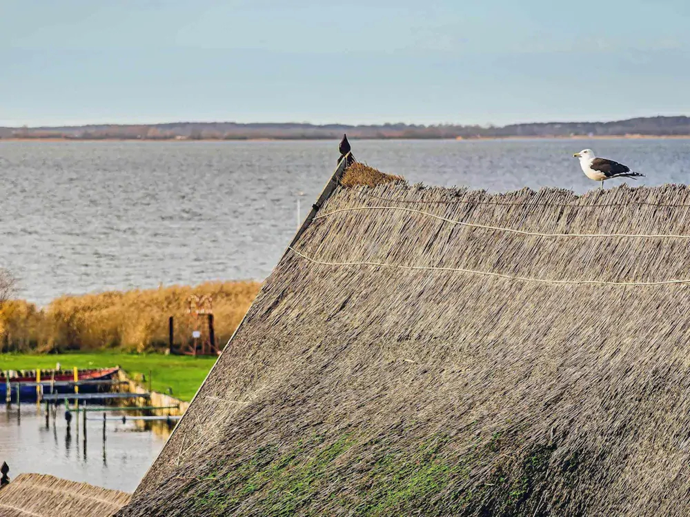 Aquarius Ferienwohnungen