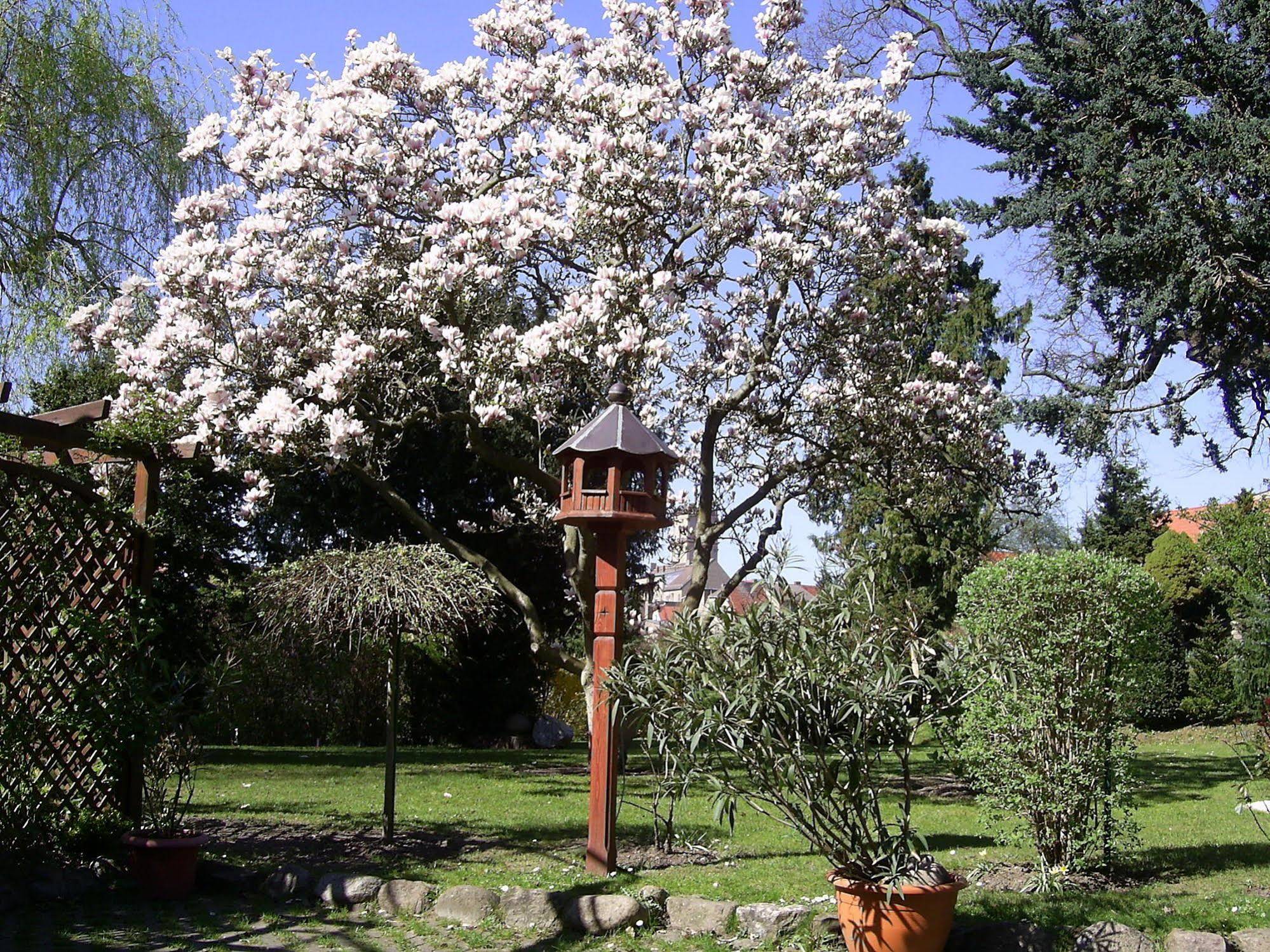 Schlossgarten