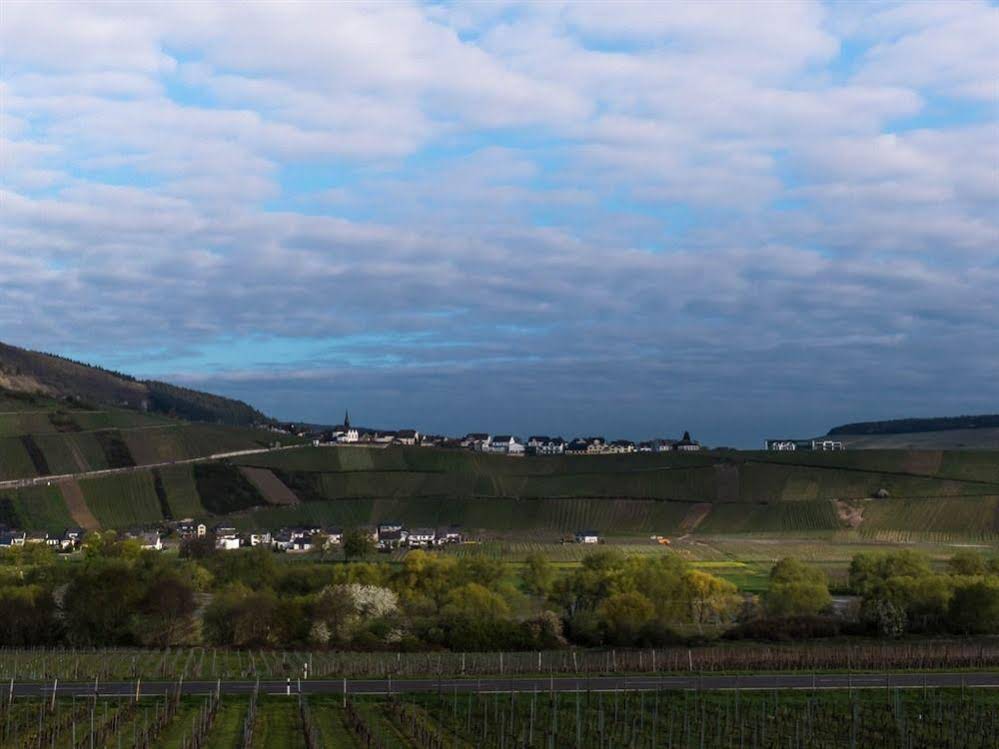 Weingut-Pension Tiliahof