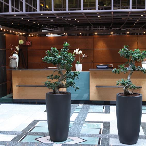 Lindner Hotel Düsseldorf Seestern