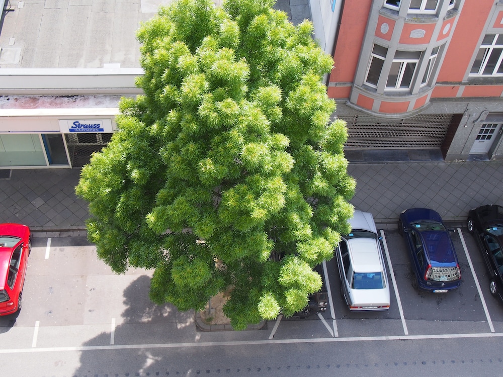 Domapartment Aachen City