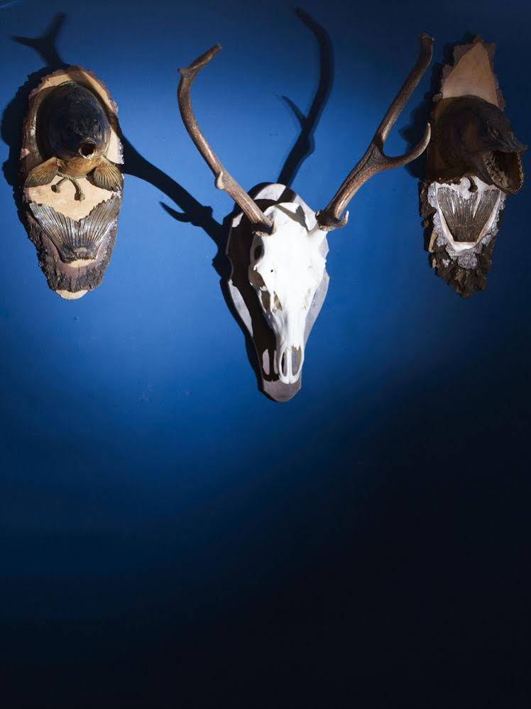 Eichenhof Antik-Hotel