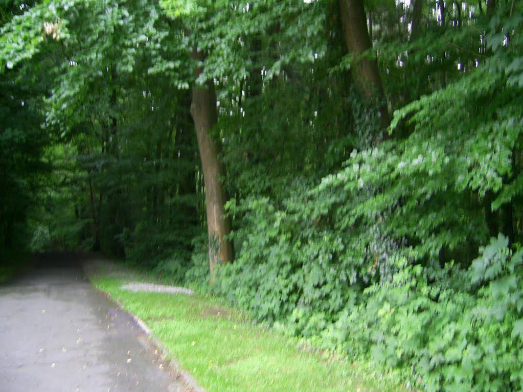 Waldpension Brake