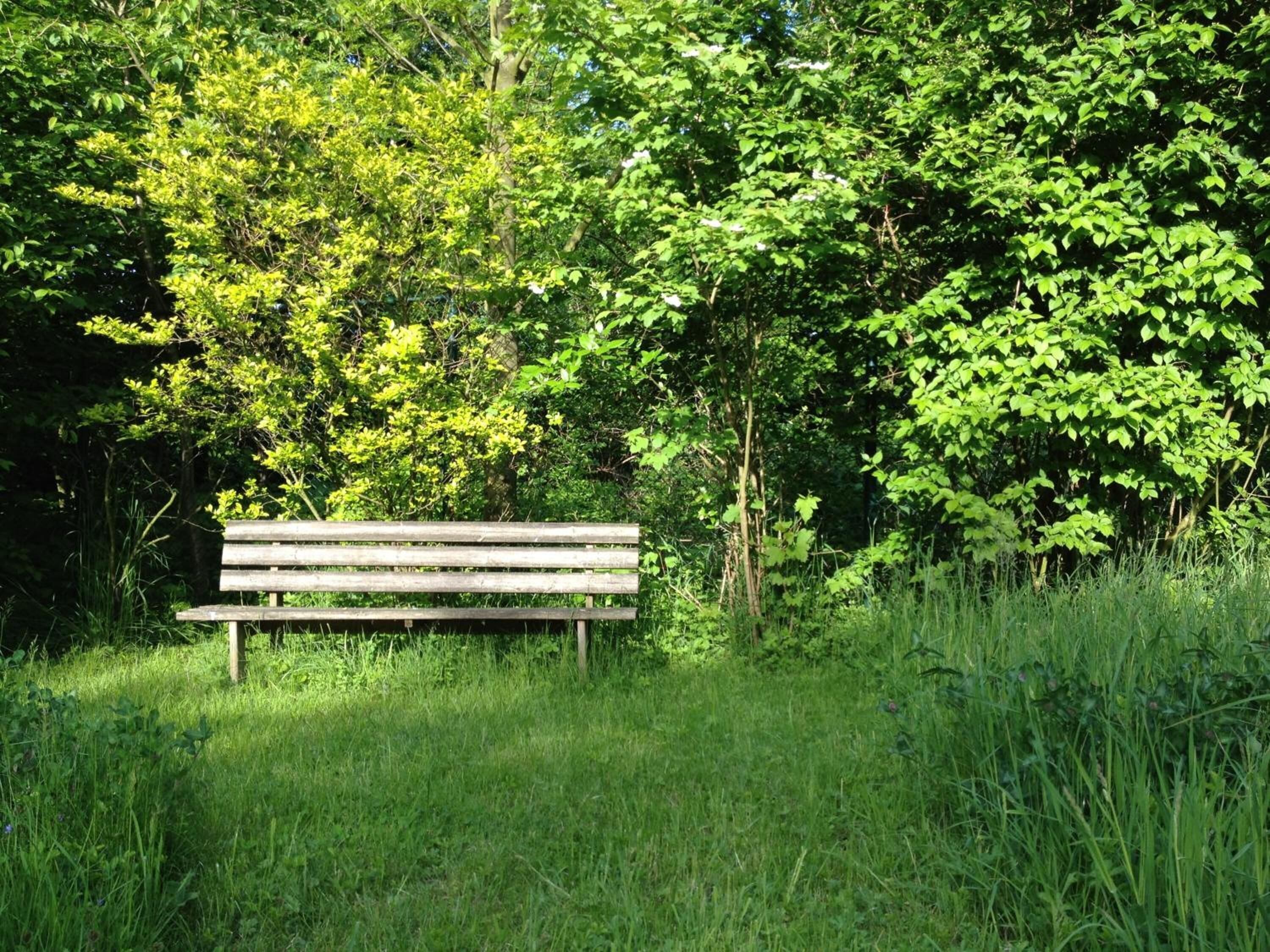 Apartmenthaus Somborn