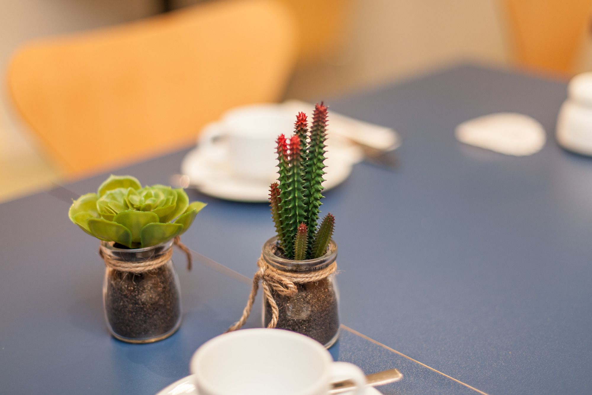 Select Hotel Silence Garden Köln