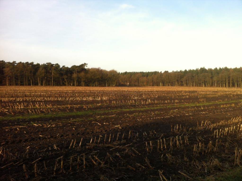 Zur Heide Landhotel