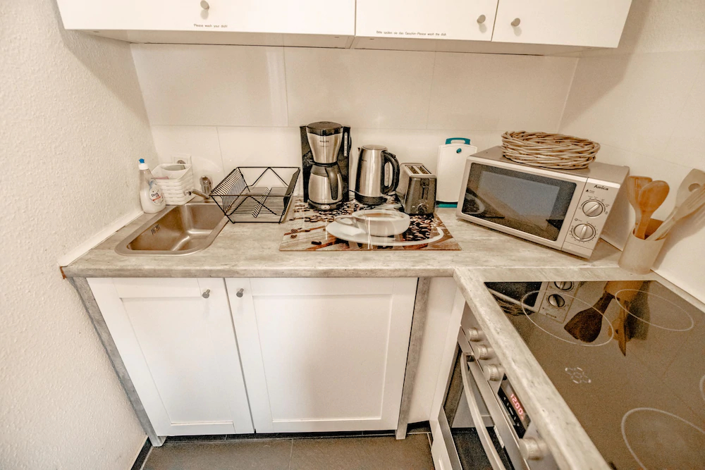 Deluxe Downtown Apartment