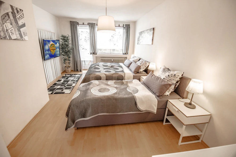Deluxe Downtown Apartment