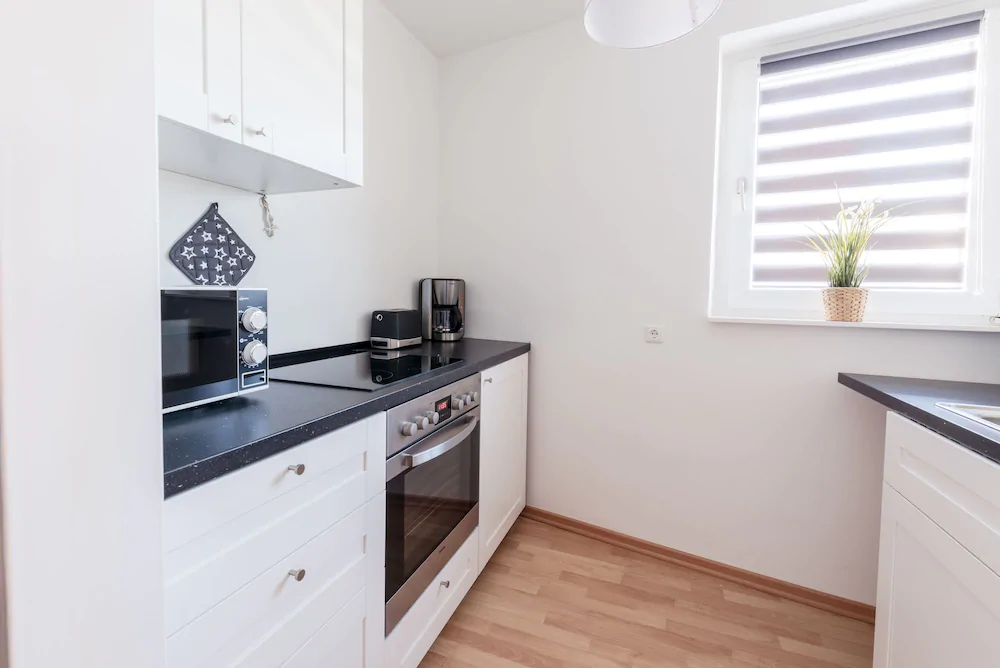 Deluxe Downtown Apartment