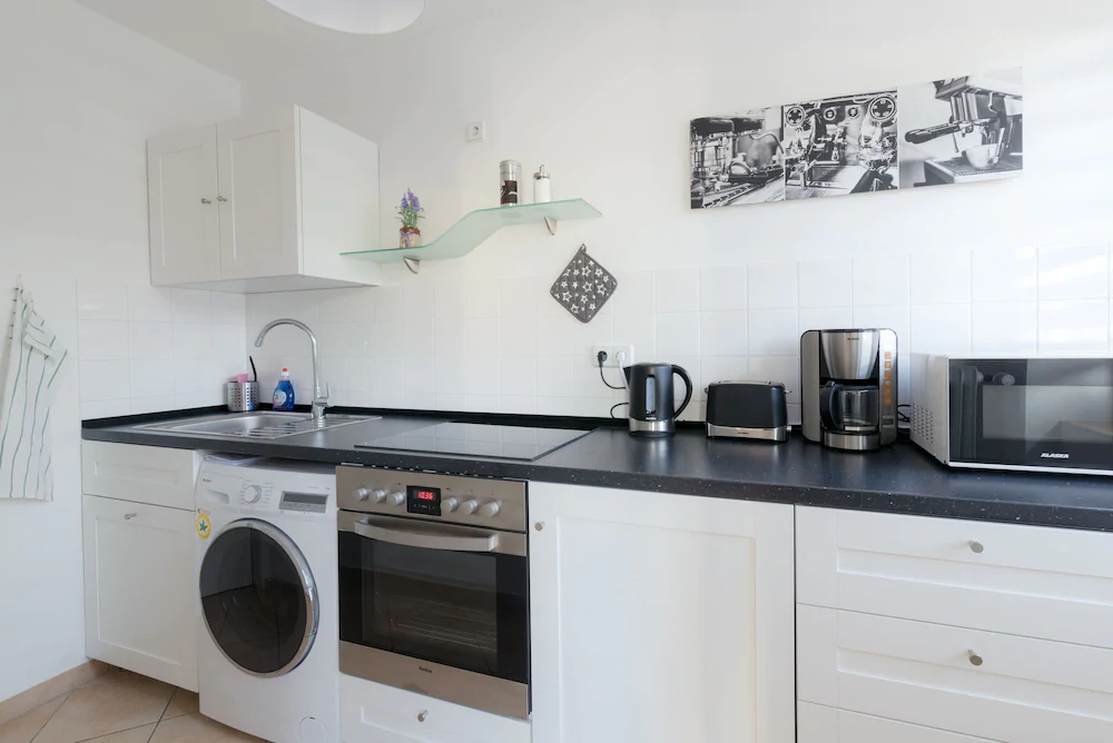 Deluxe Downtown Apartment