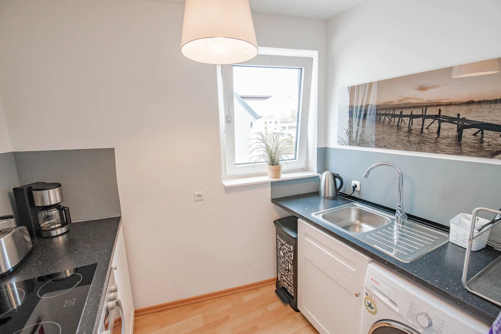 Deluxe Downtown Apartment