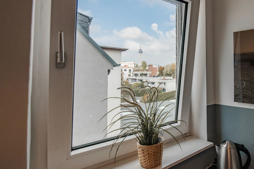 Deluxe Downtown Apartment