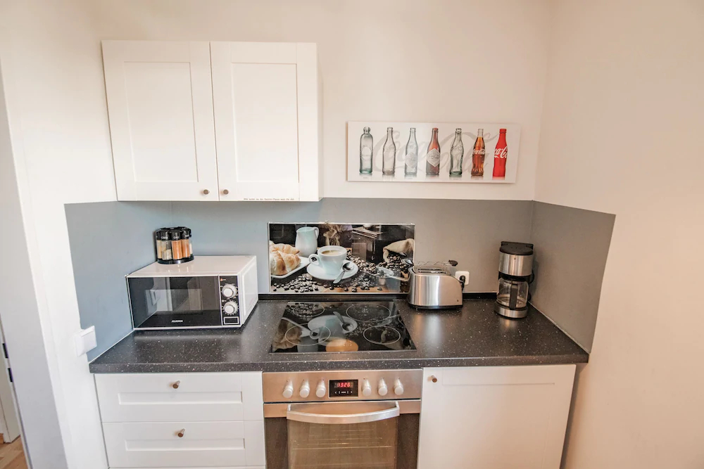 Deluxe Downtown Apartment