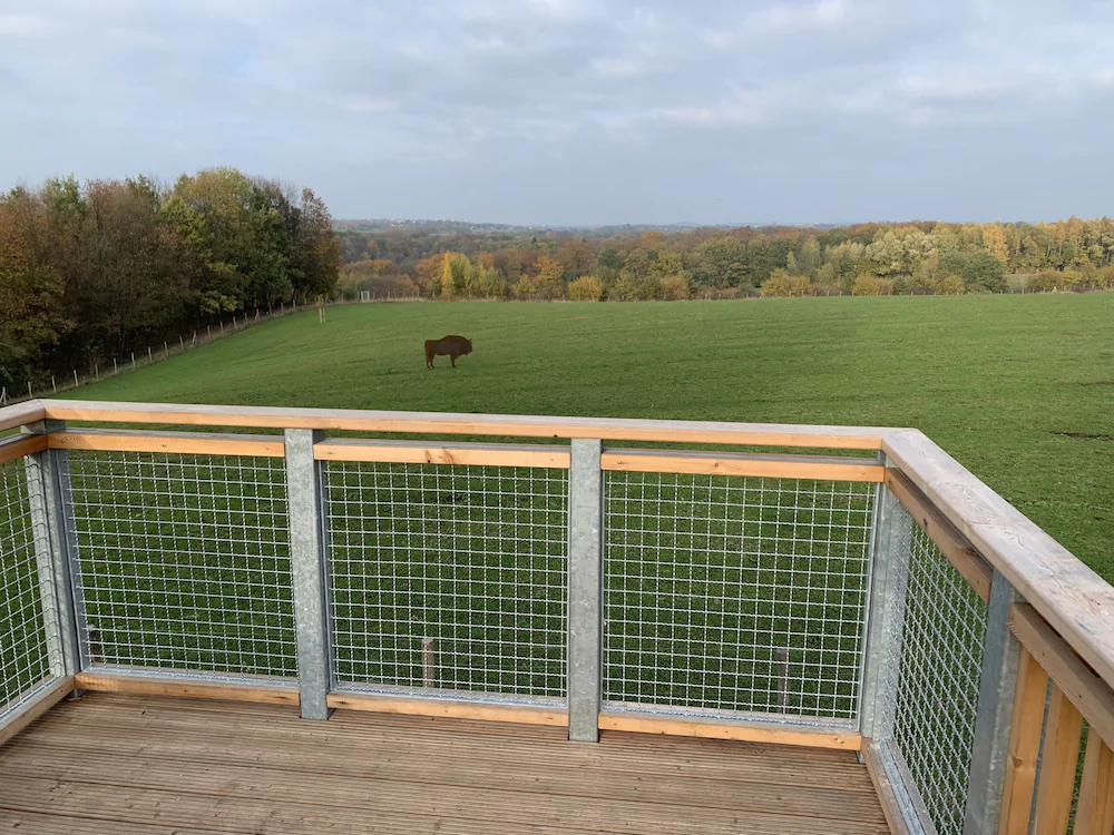 Besotel Ferienwohnungen Und Apartments Erkrath