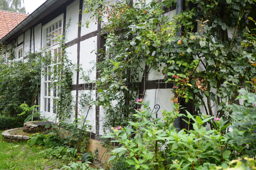 B&B Rosindell Cottage