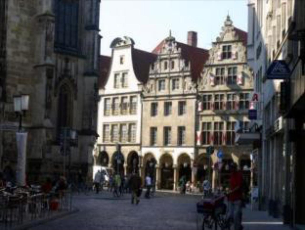 Busche