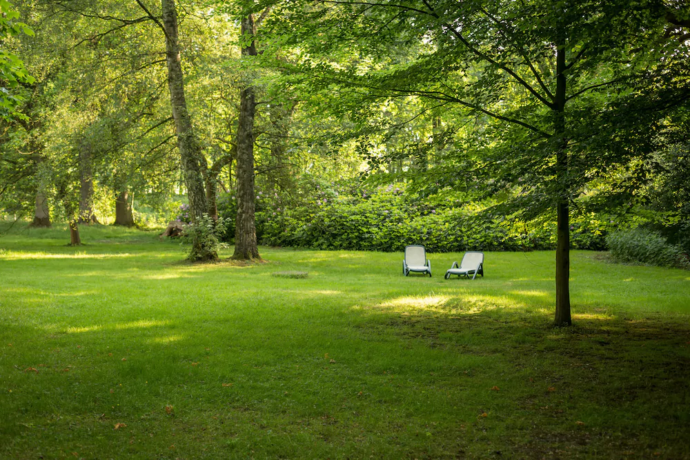 Schloss Hohenfeld Parkhotel