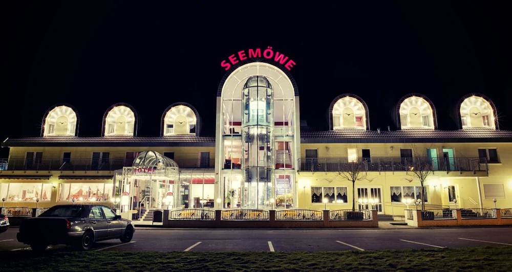 Seemöwe