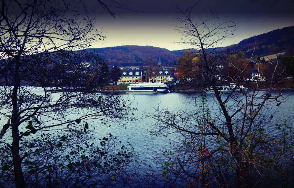 Seemöwe