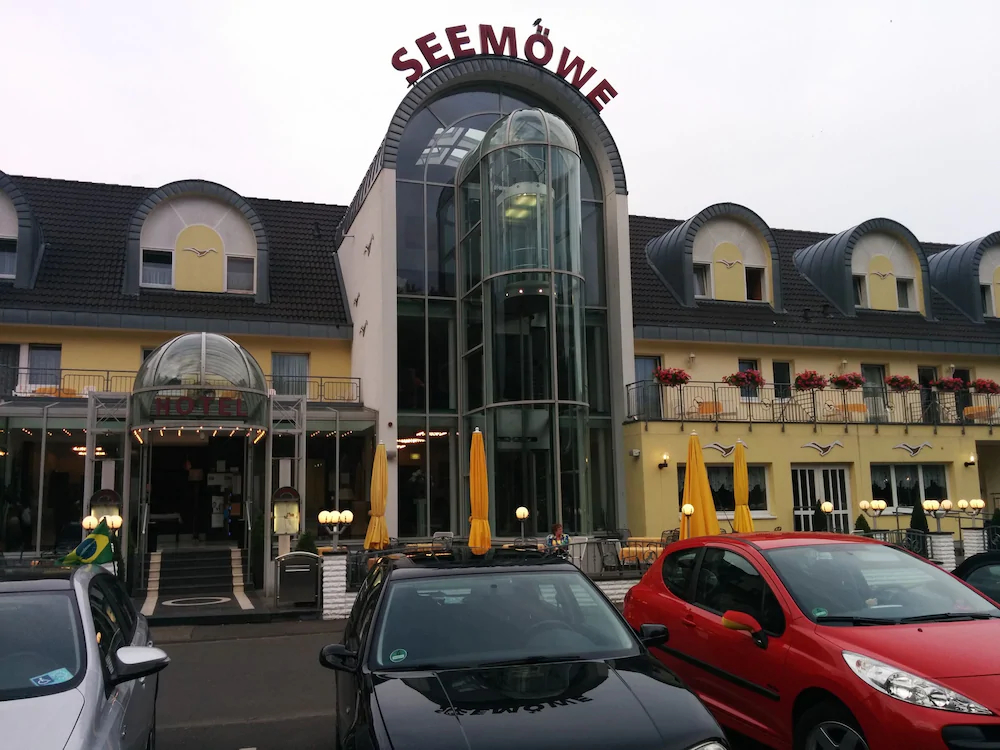 Seemöwe