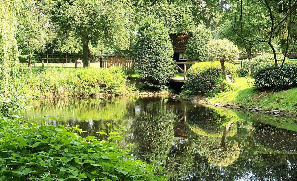 Waldhütte Heidehotel