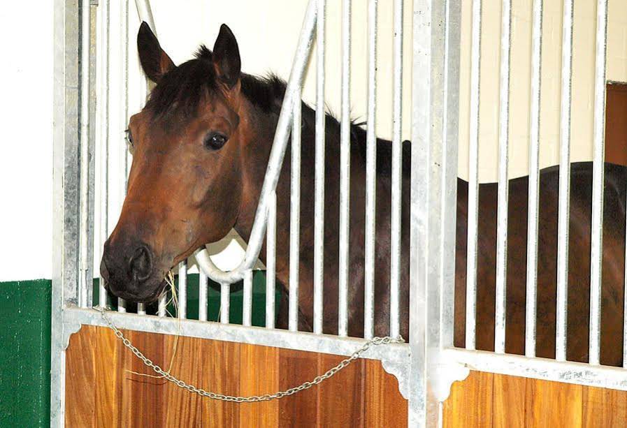 Waldhütte Heidehotel