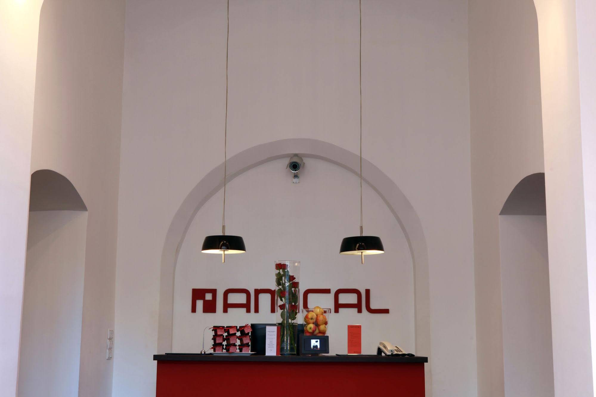 Hotel Amical