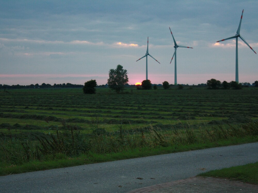 Ferienwohnung Busemann