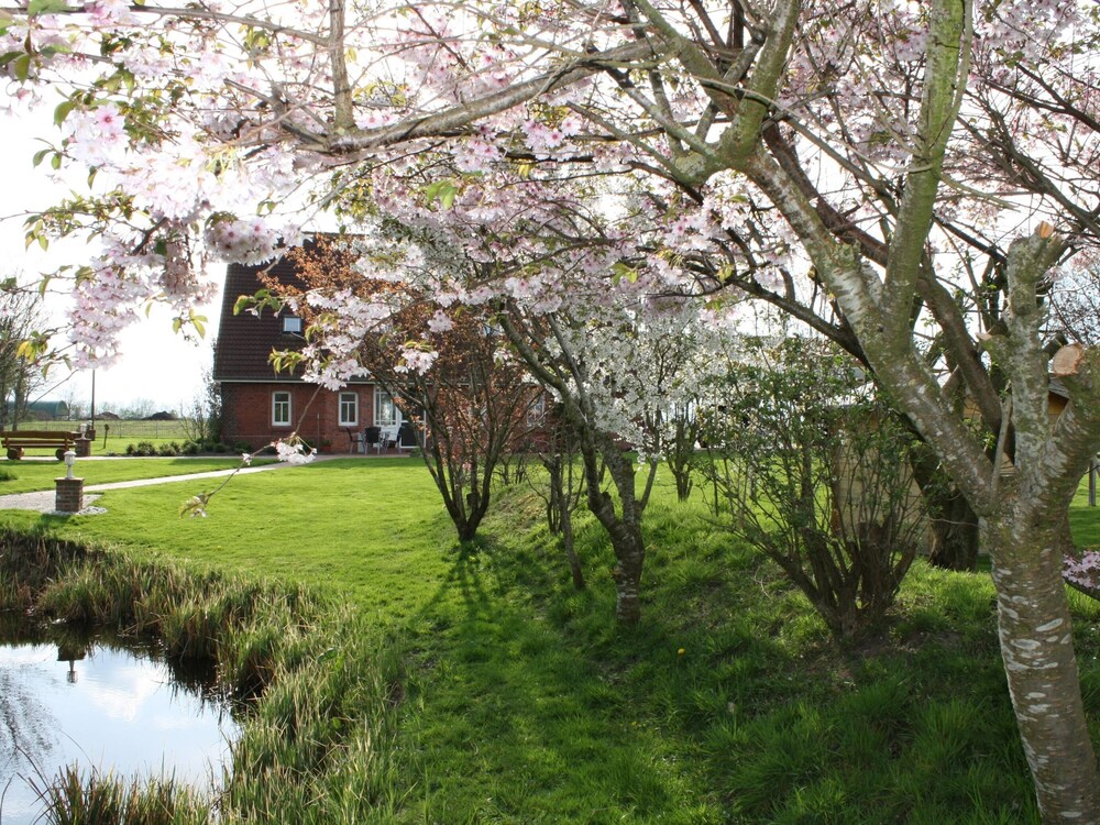 Ferienwohnung Busemann