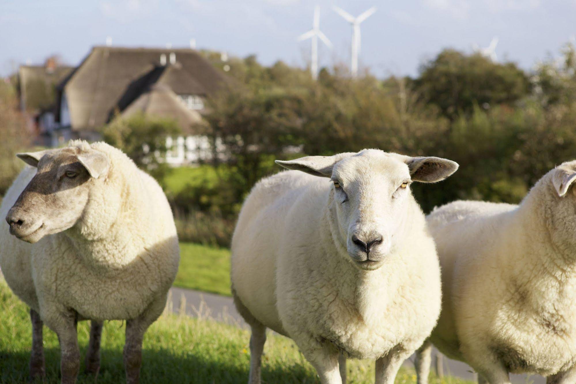 Lundenbergsand Hotel & Spa