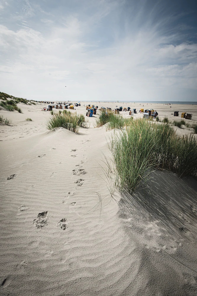 Winkelschiffchen I
