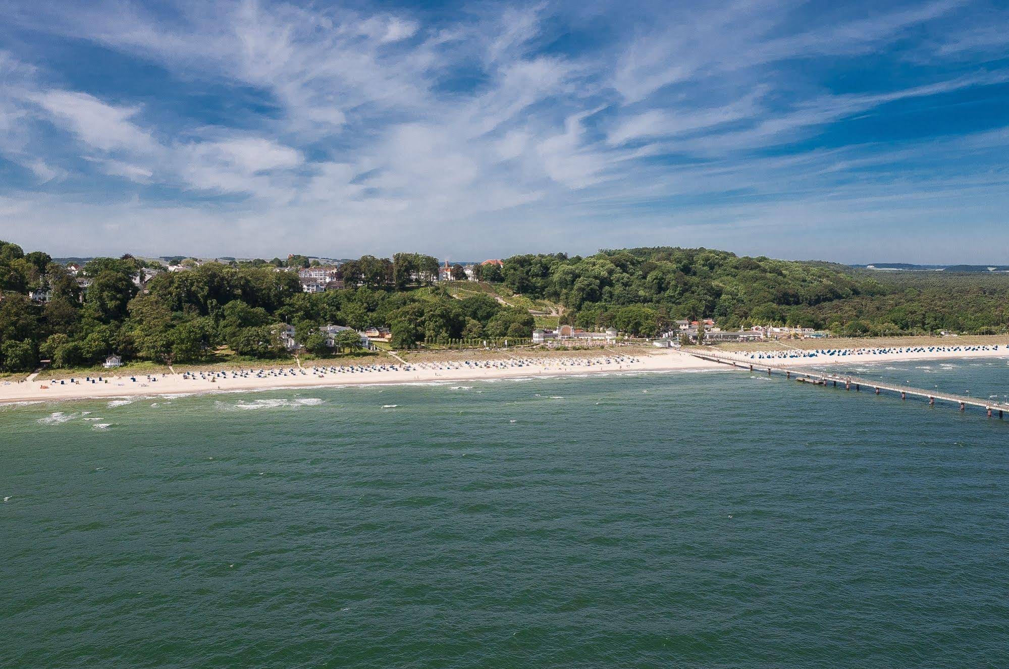 Stranddistel Garni