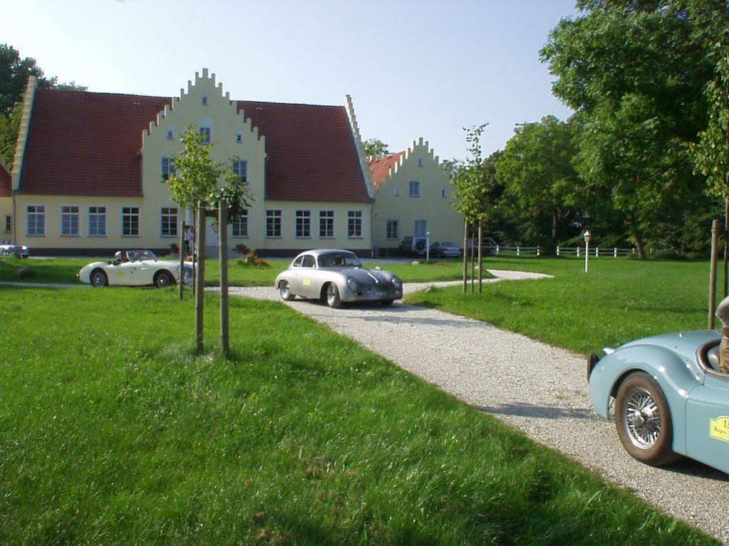 Gut Tribbevitz