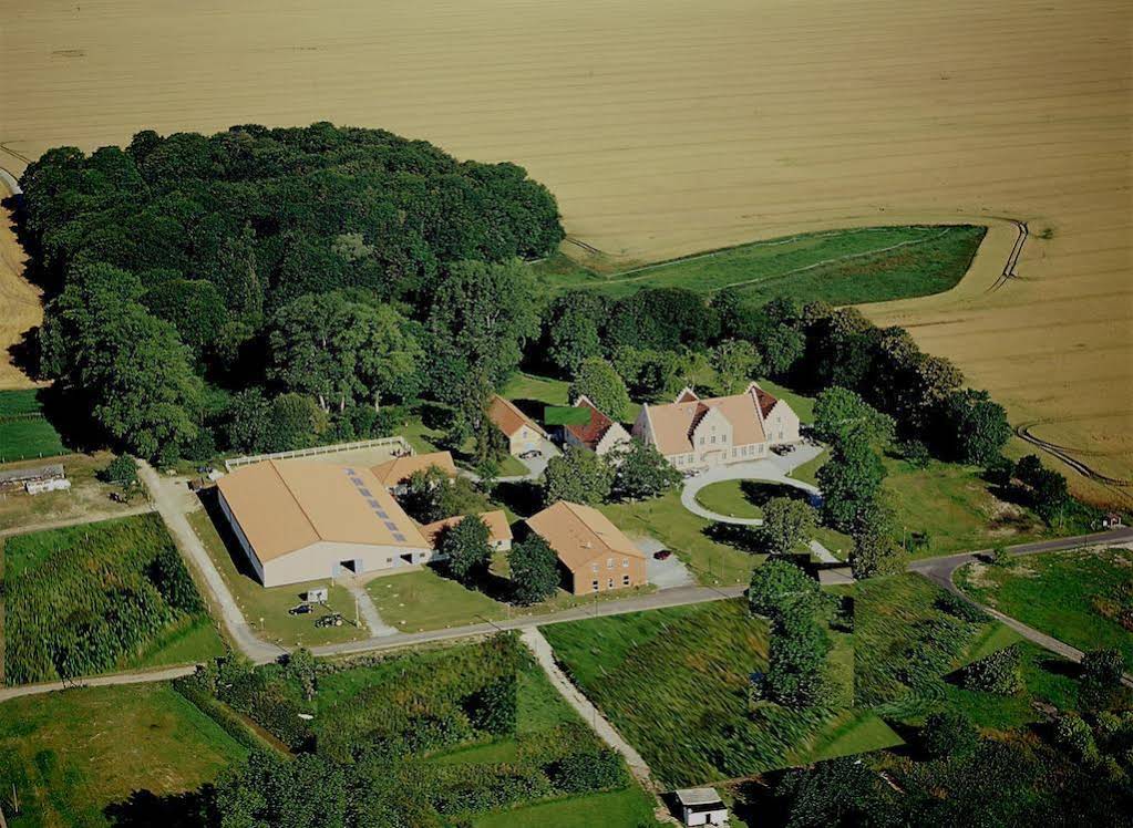 Gut Tribbevitz