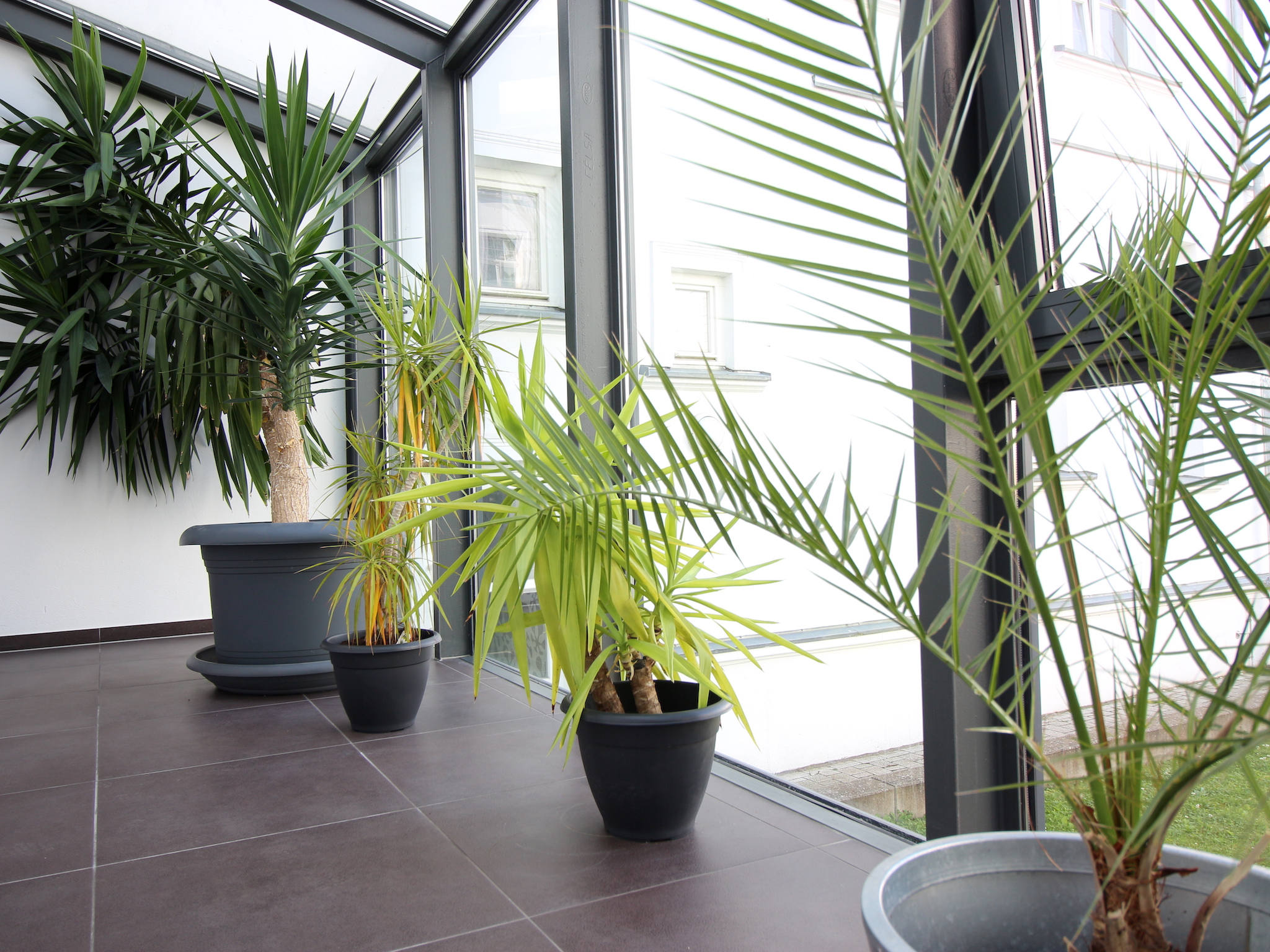 Parkhotel Putbus International