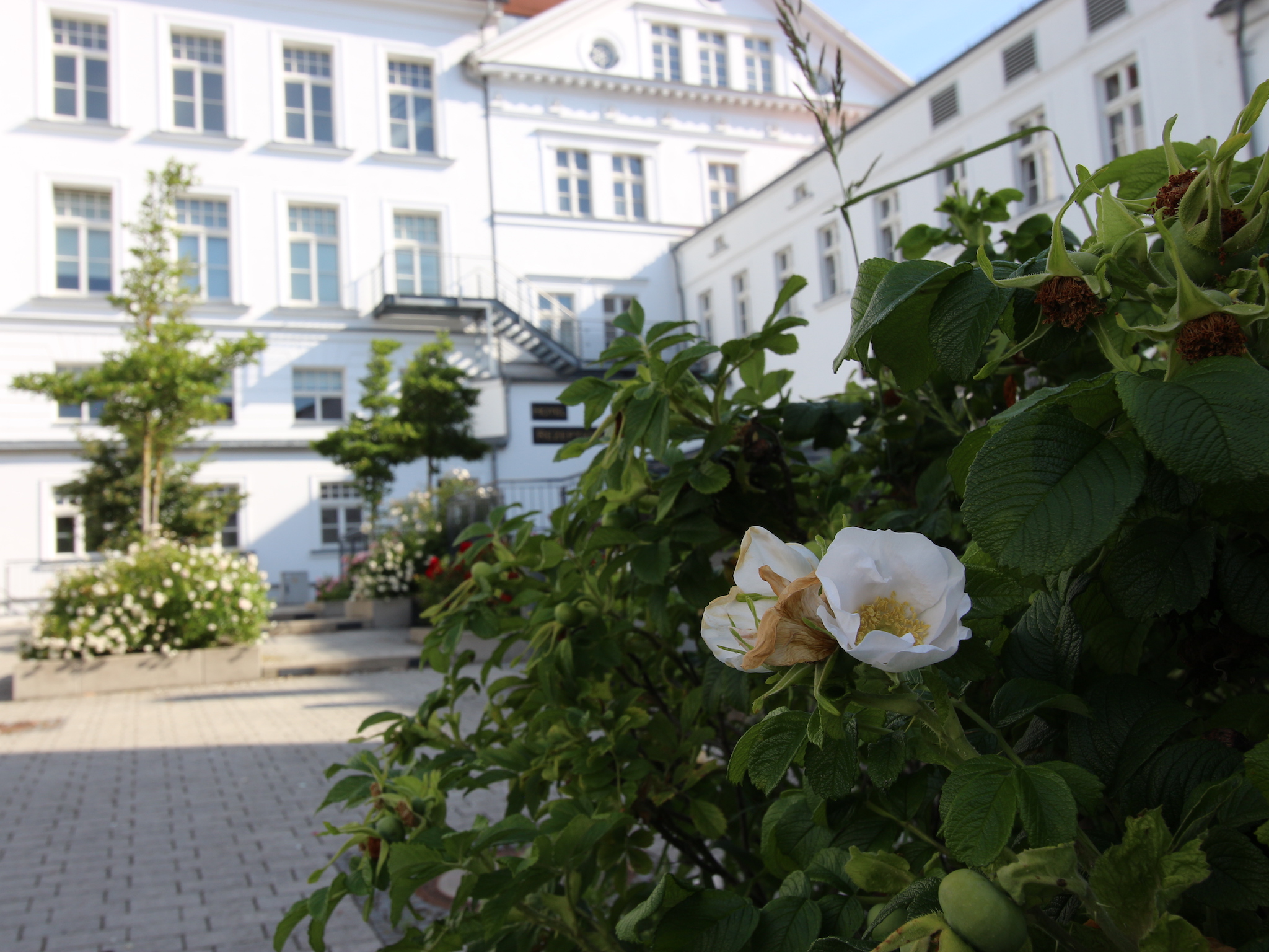 Parkhotel Putbus International