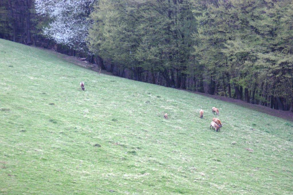 Landgasthof 