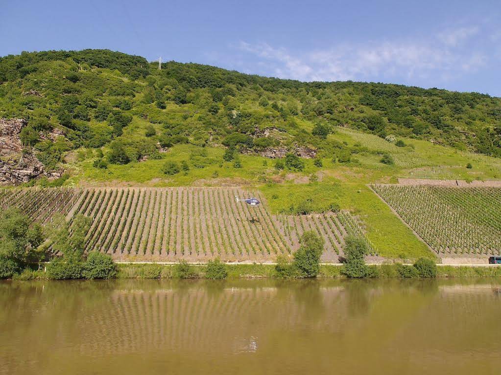 Weingut-Gästehaus Nalbach