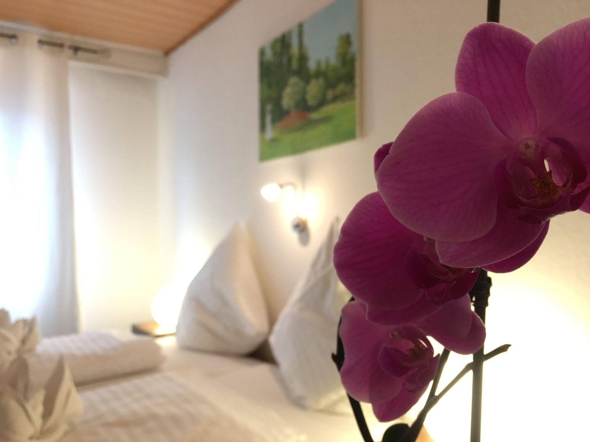 City-Hotel-Garni-Diez