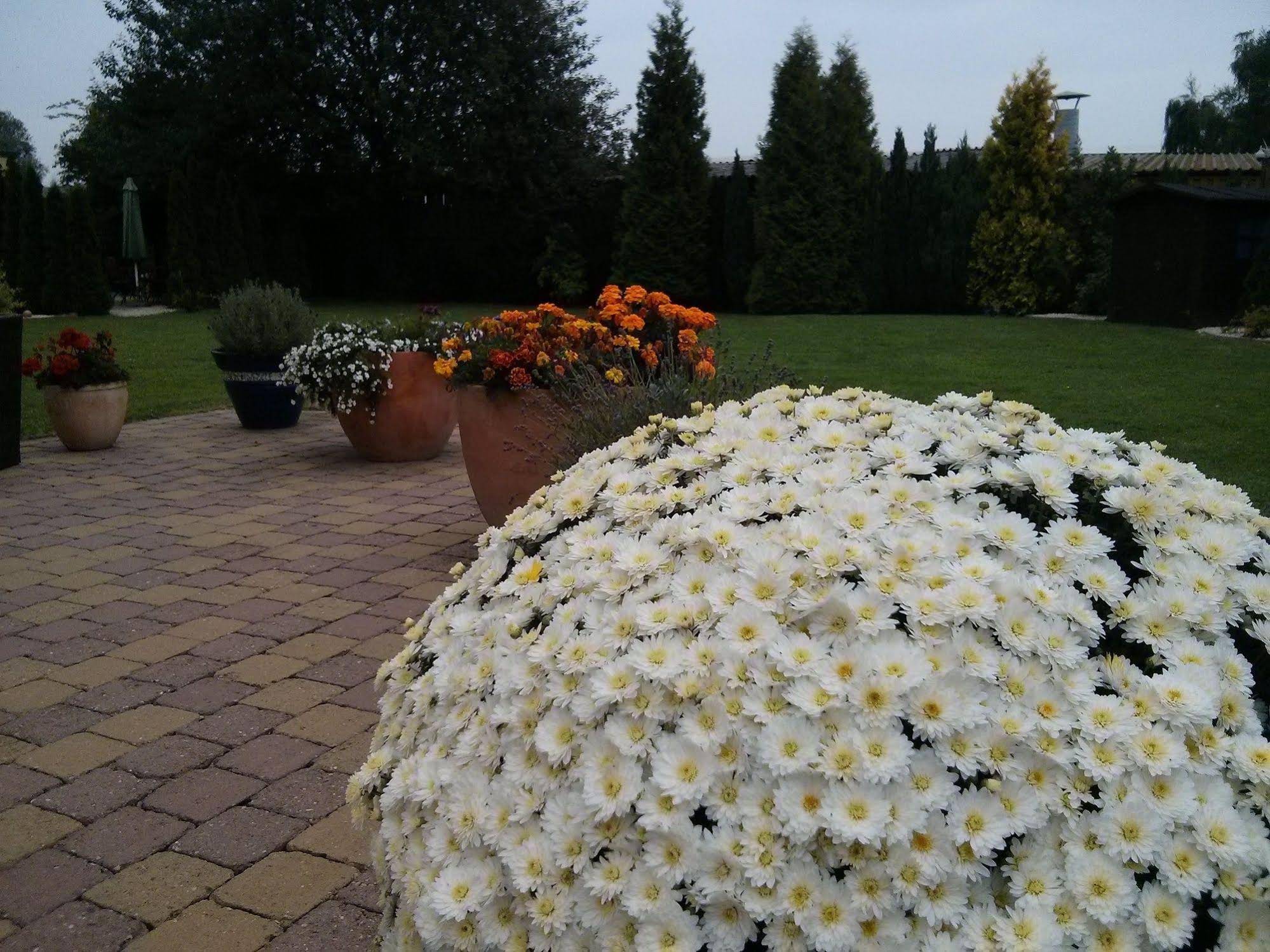 Ferienwohnungen Am Pfaffensee