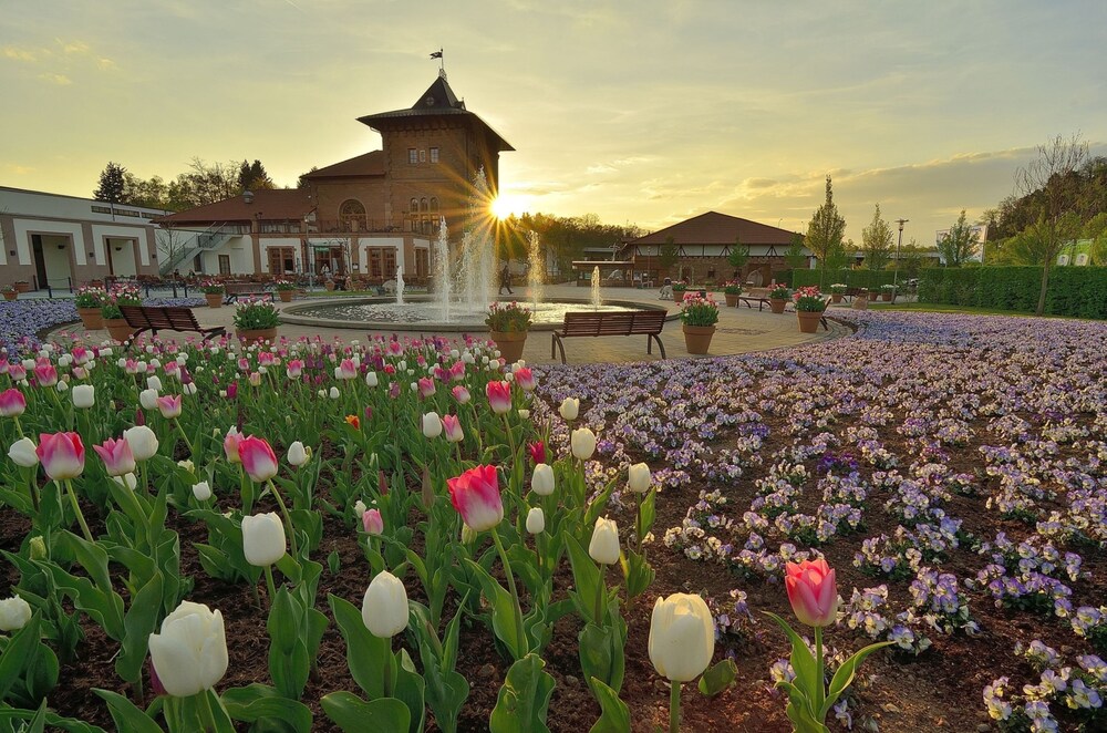 Holiday Inn Express Kaiserslautern