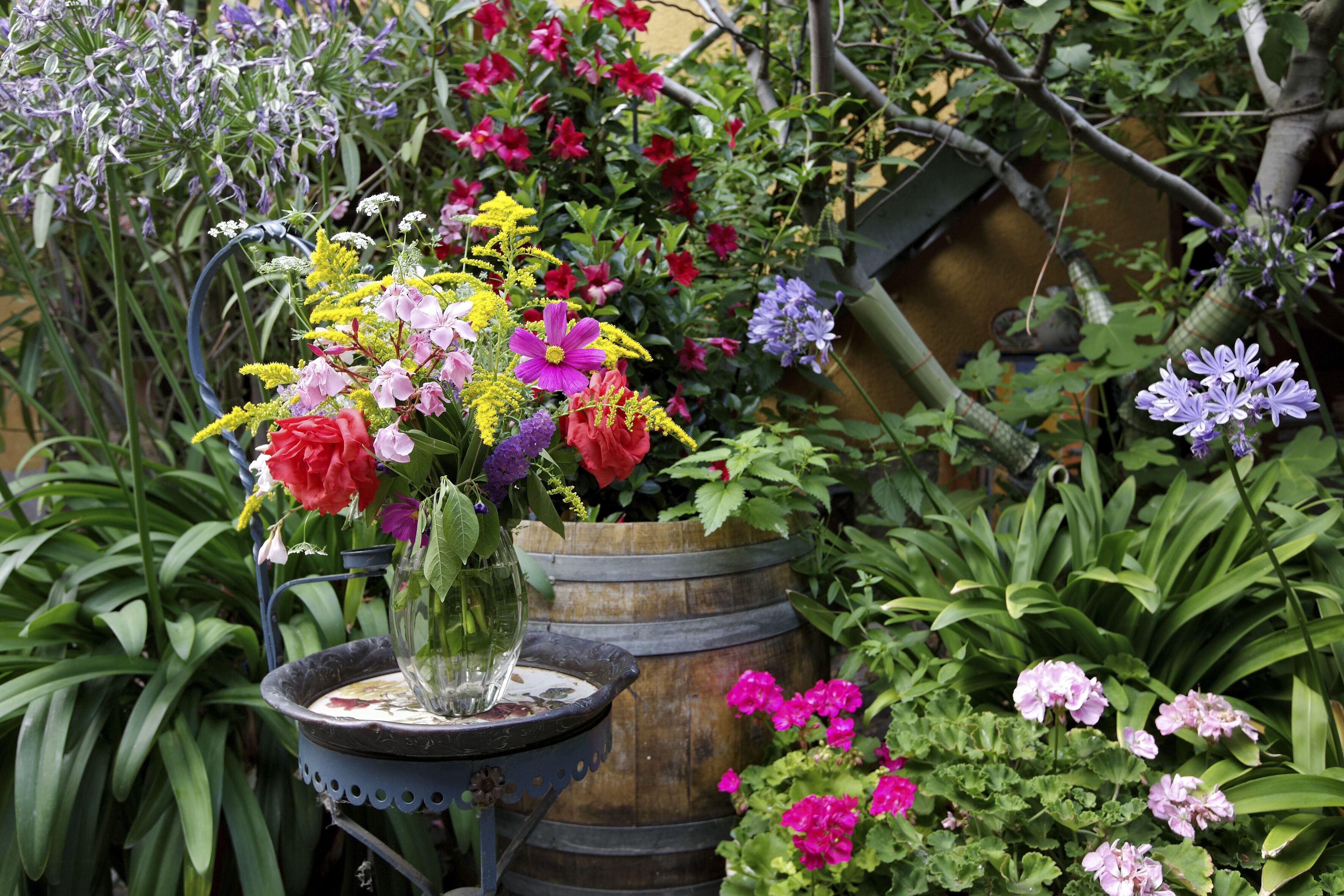Weinmanufaktur Wolfgang Pfaffmann & Guesthouse Susanne Pfaffmann