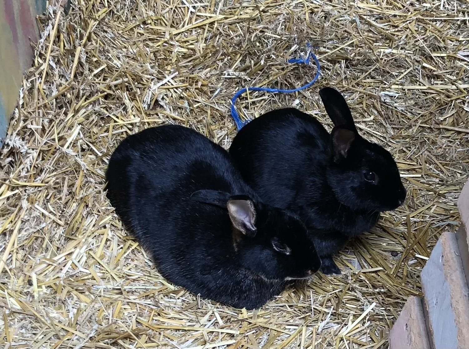 Weinmanufaktur Wolfgang Pfaffmann & Guesthouse Susanne Pfaffmann