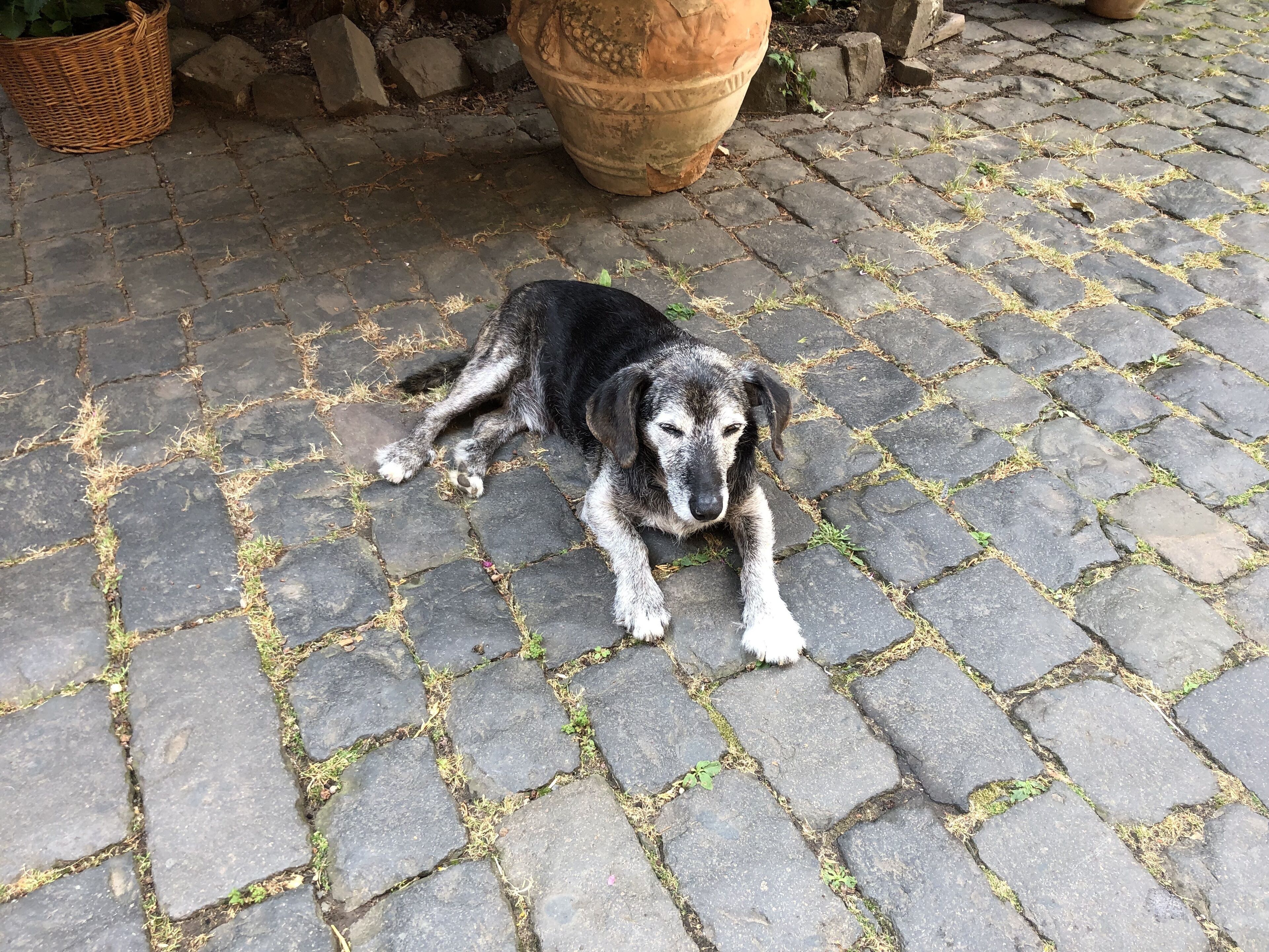 Weinmanufaktur Wolfgang Pfaffmann & Guesthouse Susanne Pfaffmann