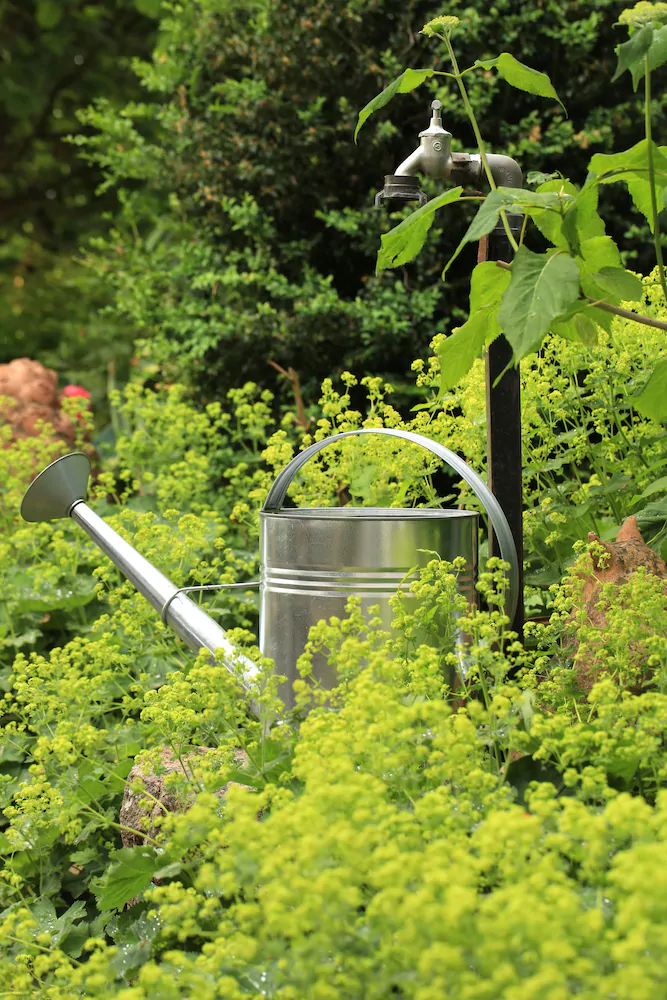 Landidyll Hotel-Restaurant Klostermühle