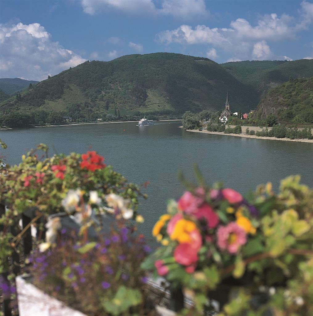 Bellevue Rheinhotel