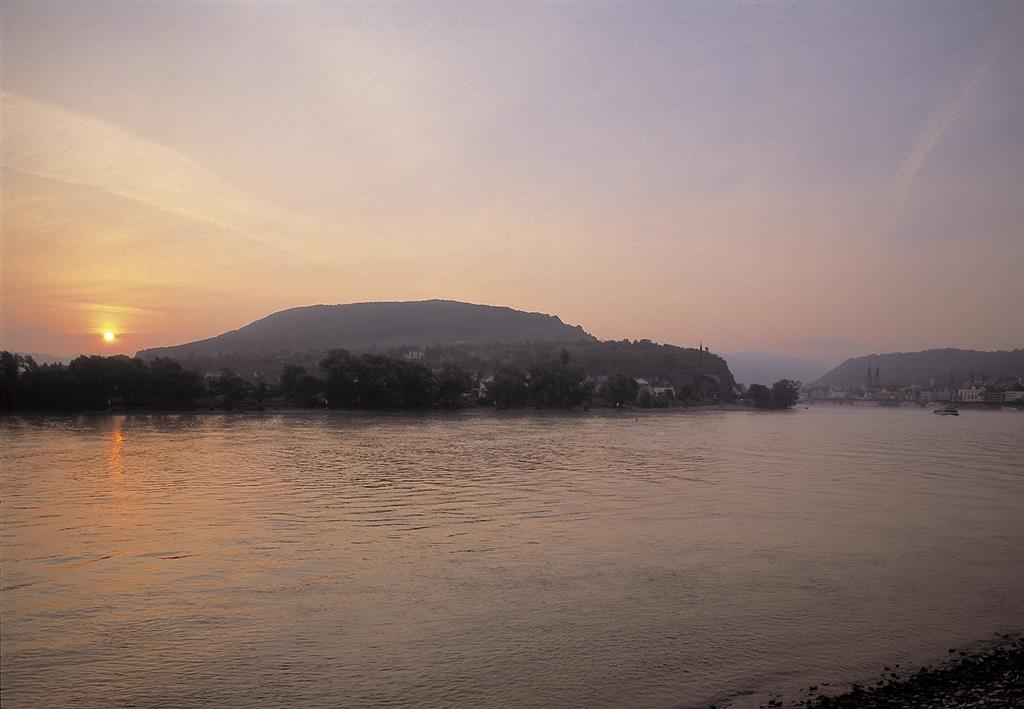 Bellevue Rheinhotel