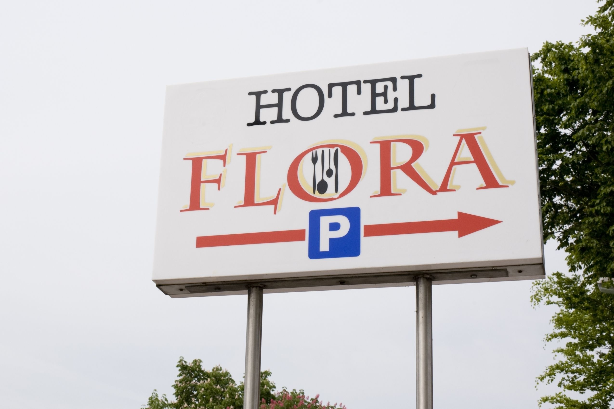 Flora