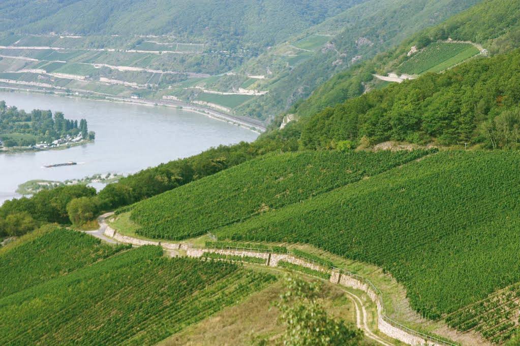 Kronenschlösschen
