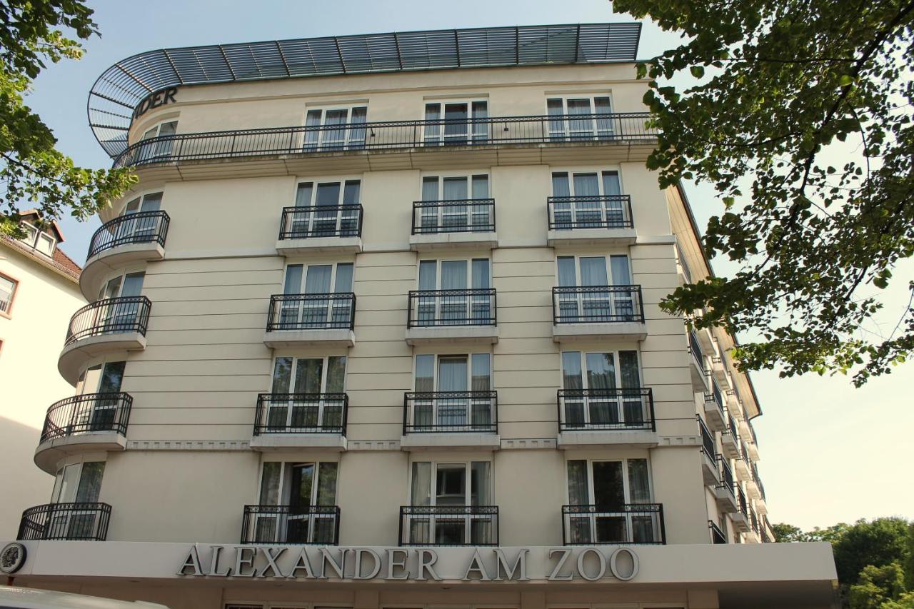 Alexander am Zoo
